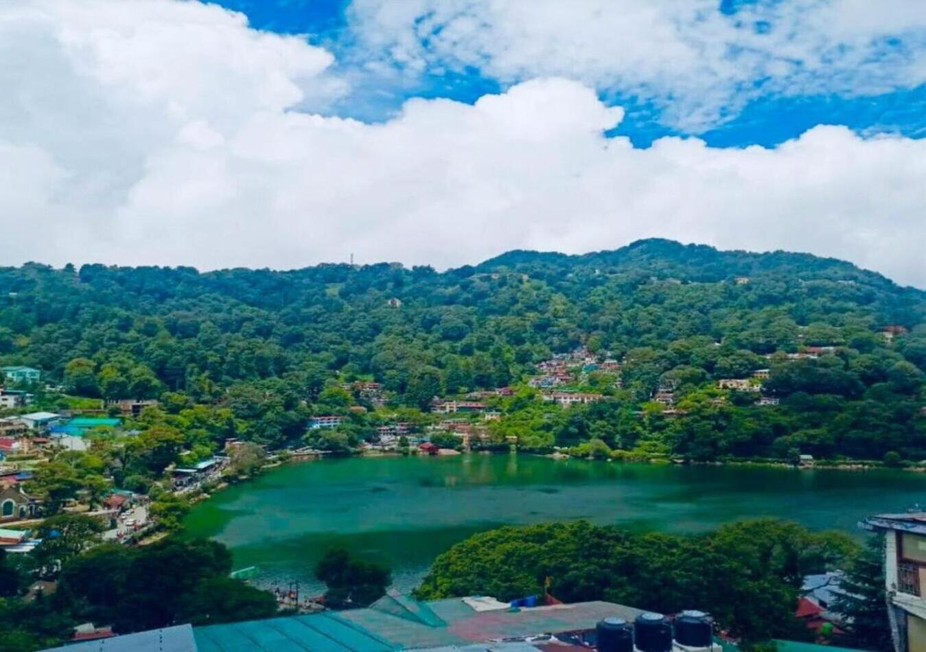 The View *